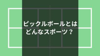 ピックルボール(Pickelball)とはどのような競技・スポーツなのか